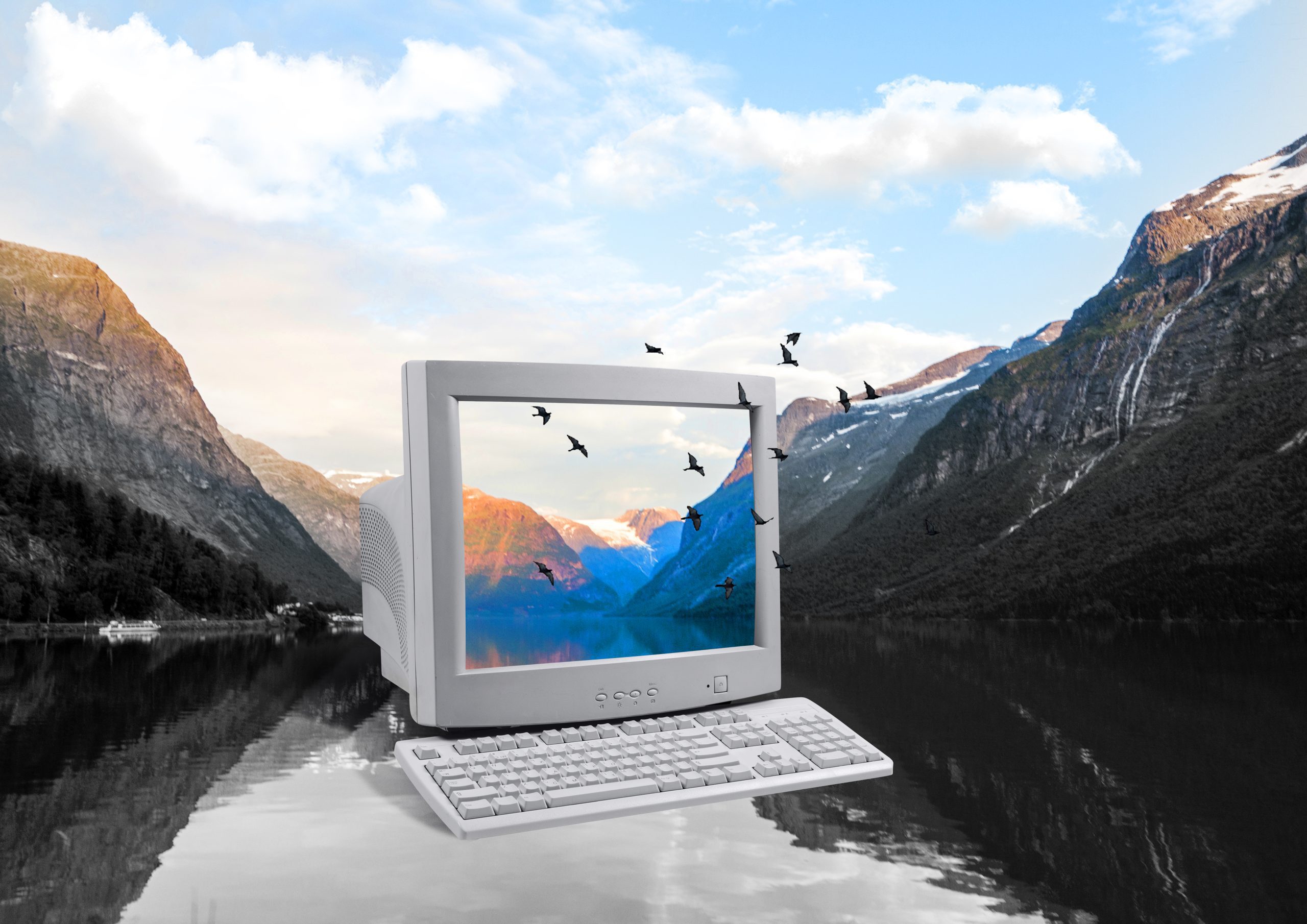 Alter Computer in der Natur