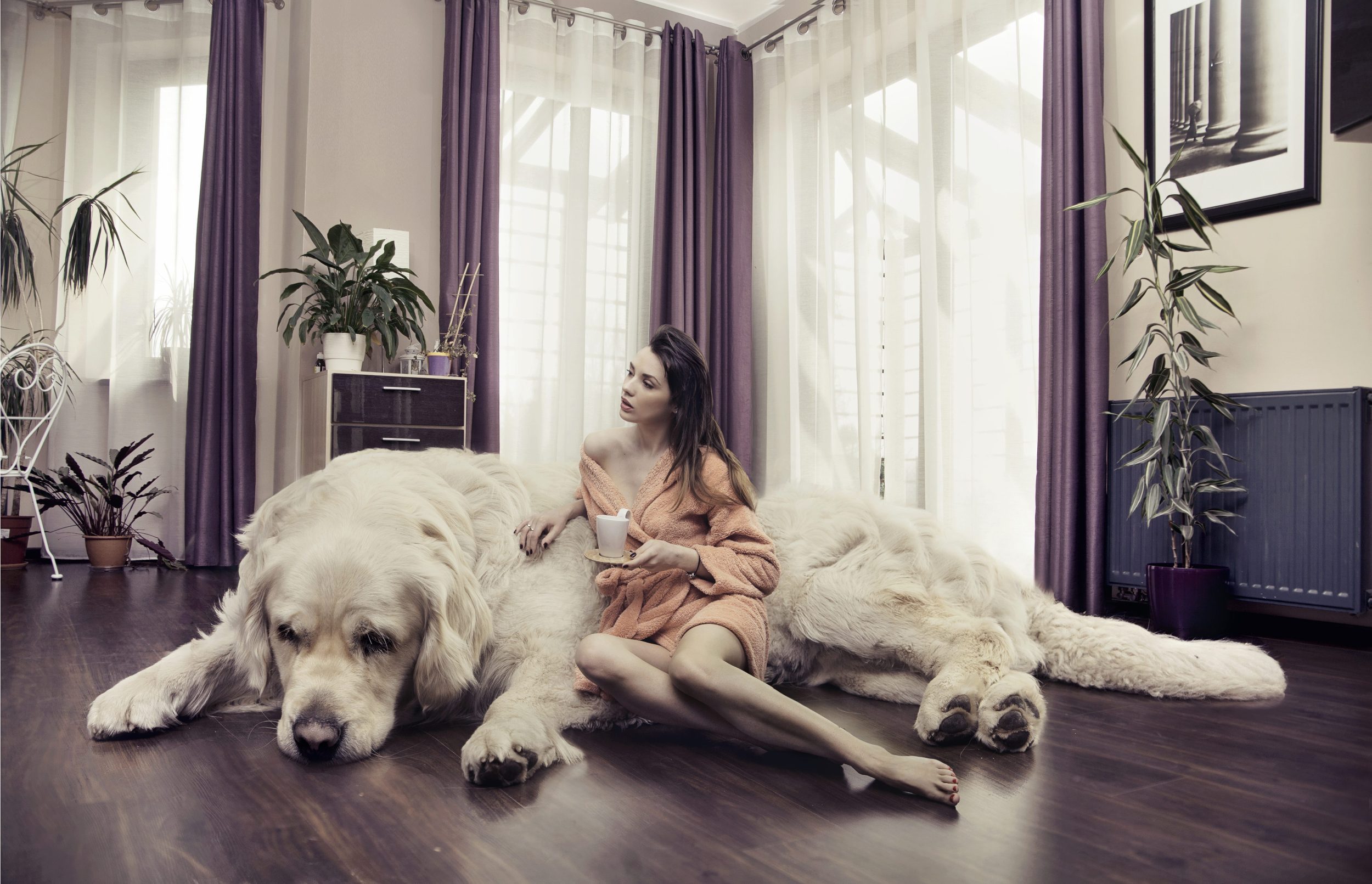 Junge Frau umarmt großen Hund